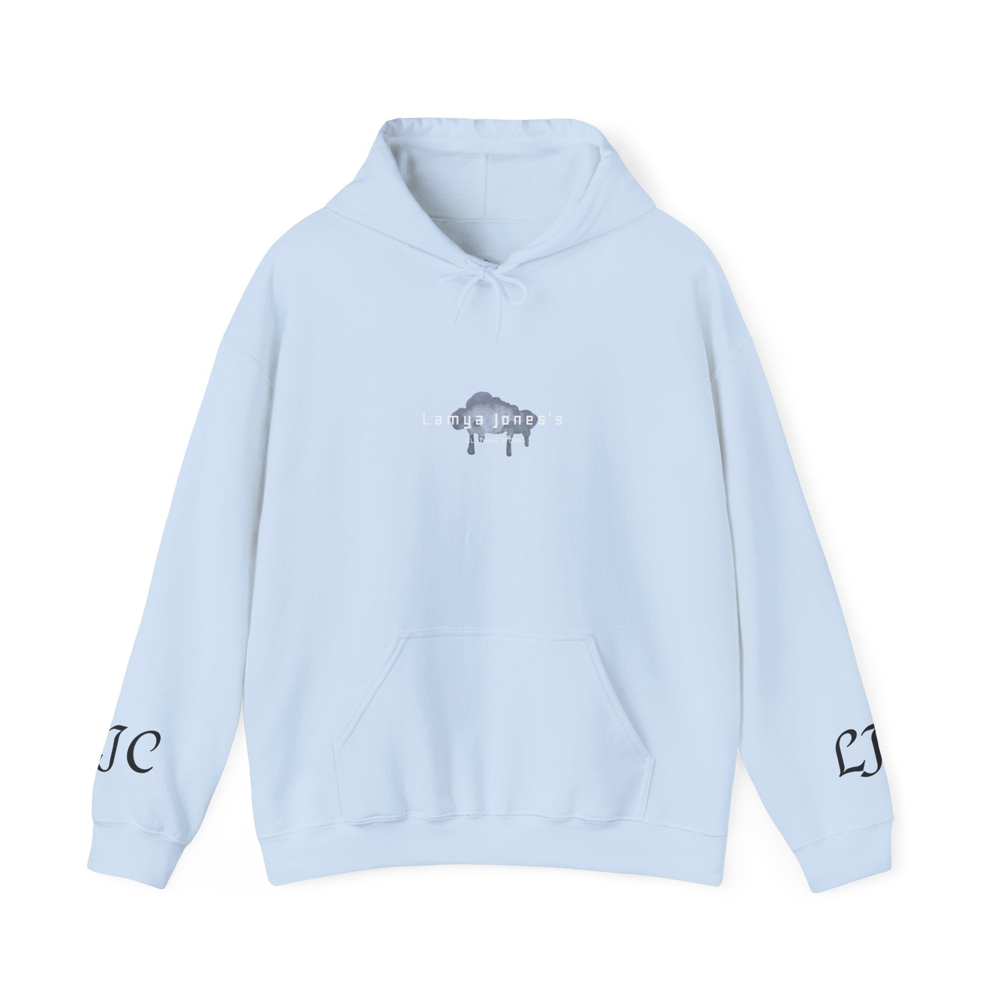Created To Create Hoodie - Minimal Drip Buffalo Graphic Pullover