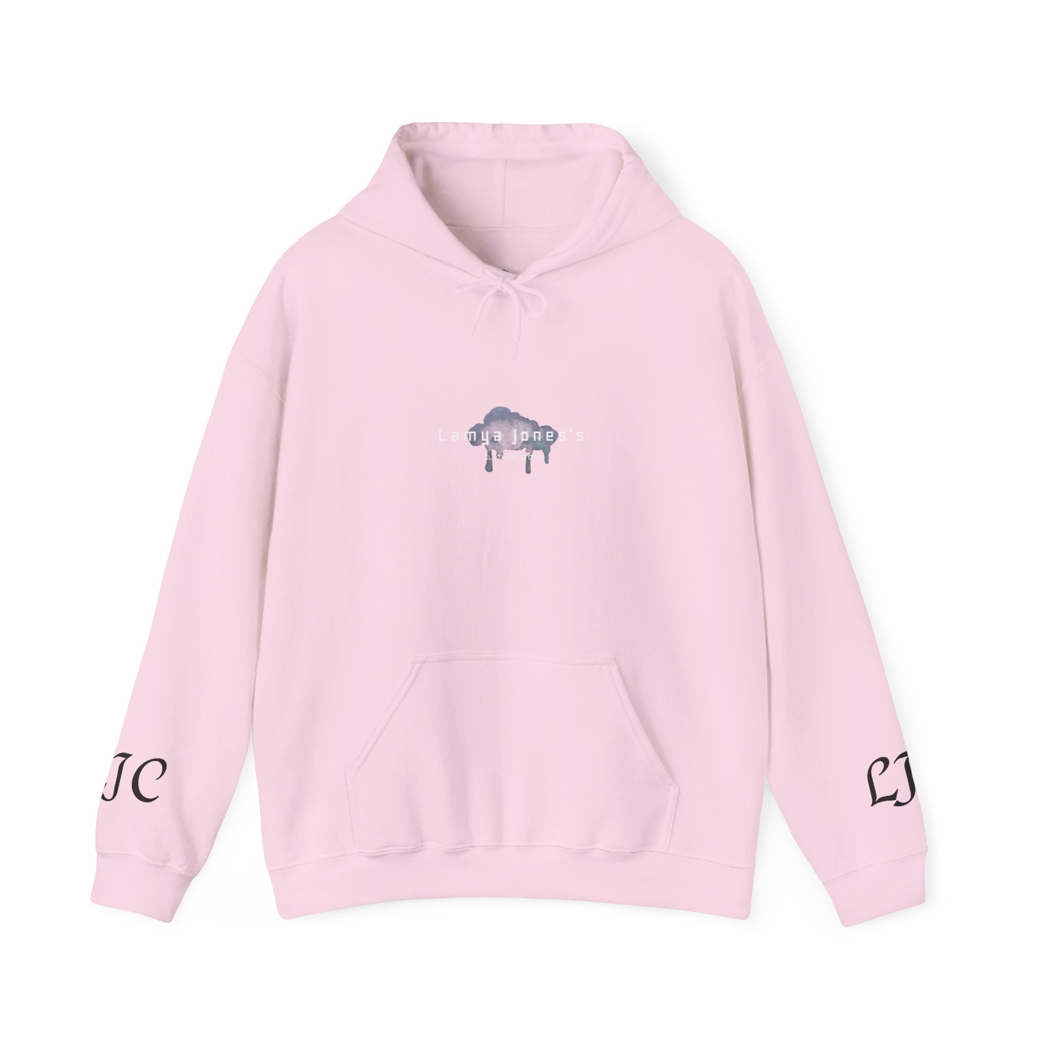 Created To Create Hoodie - Minimal Drip Buffalo Graphic Pullover